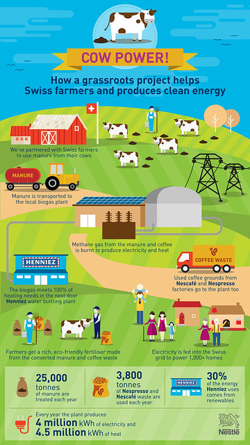 資訊圖像化案例_國外19_Cow Power代表圖