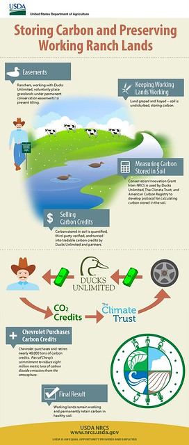 資訊圖像化案例_國外20_Storing Carbon and Preserving Working Ranch Lands代表圖