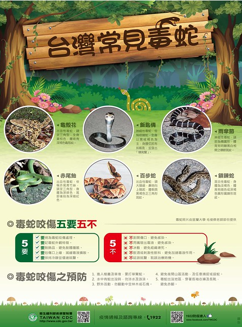 資訊圖像化案例_國內23_衛福部疾病管制署_台灣常見毒蛇宣導代表圖