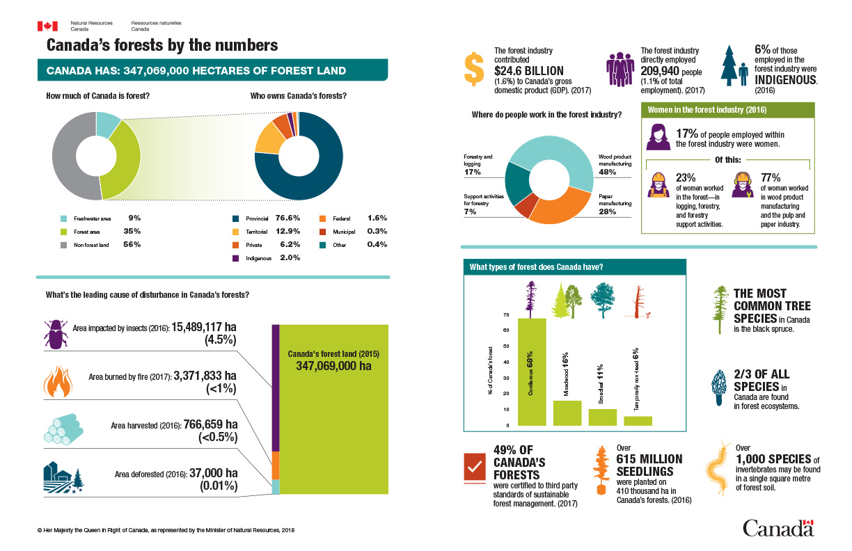 canadas forests by the numbers canadas forests by the numbers