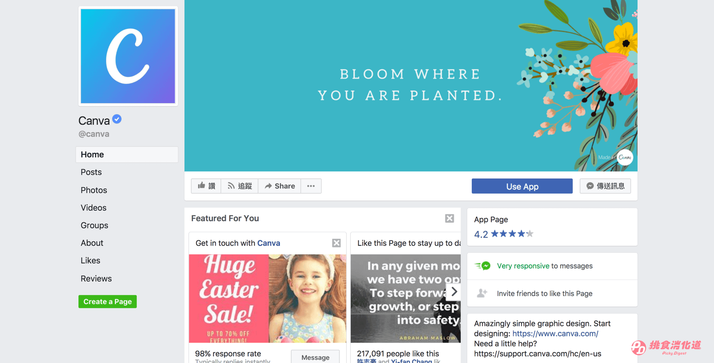 Canva：Slogan
