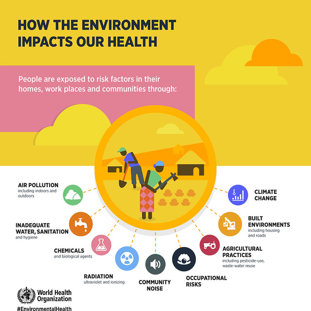 How the environment impacts our health How the environment impacts our health